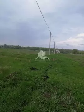 Участок в Белгородская область, Прохоровский район, с. Беленихино ул. ...