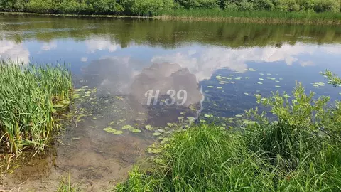 Участок в Калининградская область, Гвардейск Поселковая ул. (35.0 ...