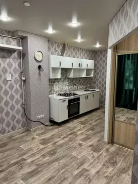 1-к кв. Омская область, Омск ул. 5-я Рабочая, 66 (29.5 м)