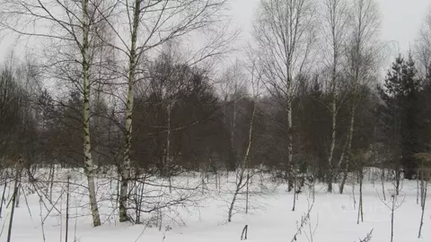 Участок в Московская область, Рузский муниципальный округ, д. Лобково  ...