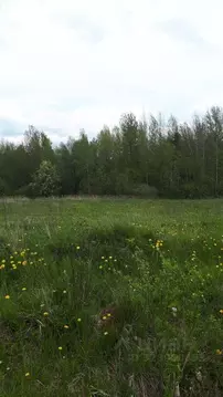 Участок, 12 сот., поселения (ижс)