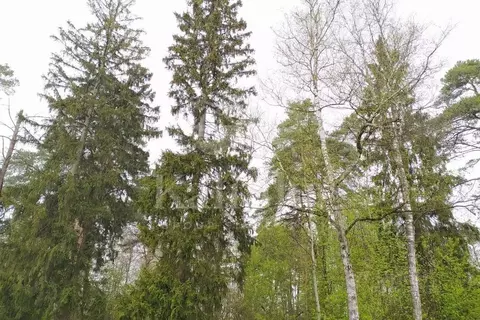 Участок в Московская область, Красногорск городской округ, д. ...