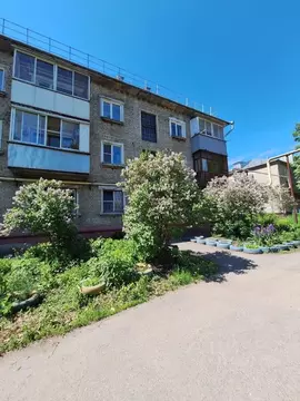 2-к кв. Алтайский край, Барнаул ул. 1-я Западная, 4/12 (42.8 м)