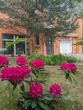 Дом в Санкт-Петербург пос. Парголово, Сертоловская ул., 39 (375 м)