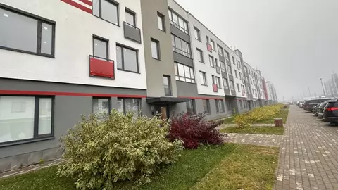 2-к кв. Ленинградская область, Гатчинский муниципальный округ, д. ...