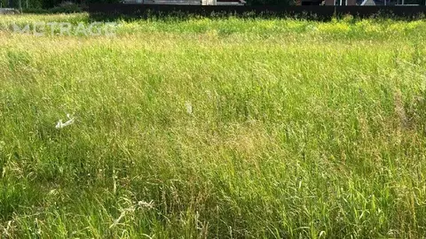 Участок в Новосибирская область, Коченевский район, с. Шагалово ...