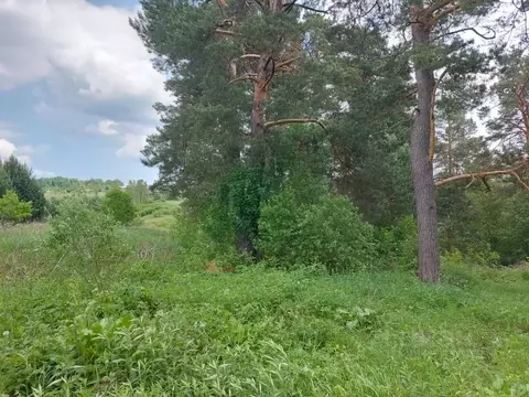 Участок в Тульская область, Заокский район, Страховское с/пос, Темьянь ...