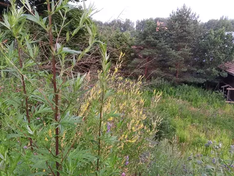 Продается участок в д. Пуговичино