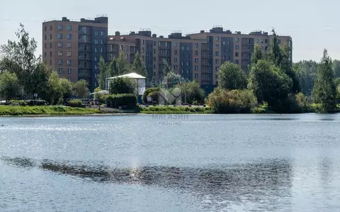 1-к кв. Ленинградская область, Всеволожский район, д. Новое Девяткино ...