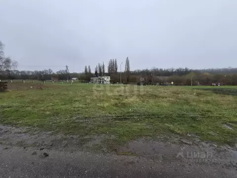 Участок в Белгородская область, Белгородский муниципальный округ, пос. ...