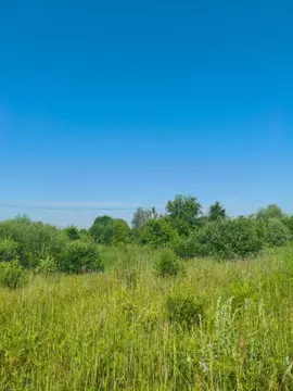 Участок в Московская область, Шатура муниципальный округ, с. Пустоша  ...