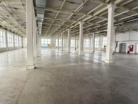 Помещение свободного назначения (1132.5 м)