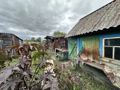 Дом в Хакасия, Алтайский район, с. Новомихайловка ул. Новая, 4 (64 м)