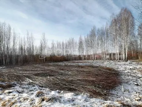 Участок в Тюменская область, Нижнетавдинский муниципальный округ, ...