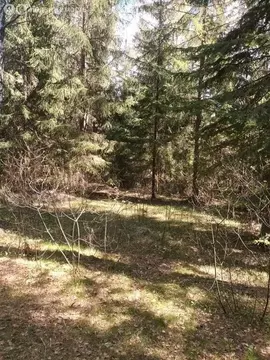 Участок в Всеволожский район, Сертолово (50 м)