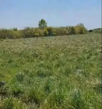 Участок в Калининградская область, Гурьевский муниципальный округ, ...