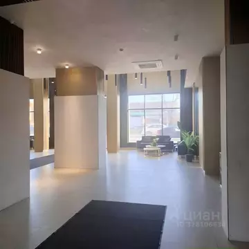 Студия Санкт-Петербург Уральская ул., 23 (25.0 м)