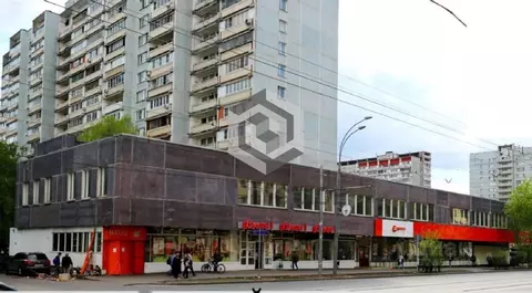 Торговая площадь в Москва Первомайская ул., 100 (54 м)