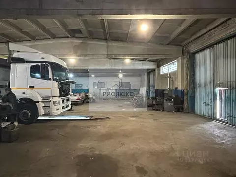 Помещение свободного назначения в Челябинская область, Красноармейский ...