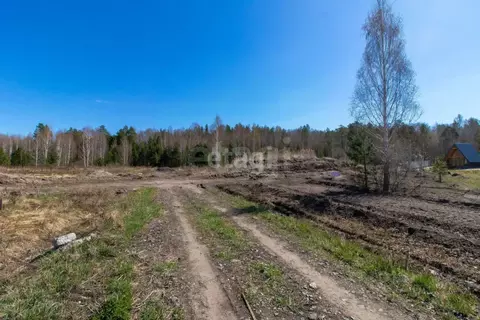 Участок в Тюменская область, Нижнетавдинский муниципальный округ, ...