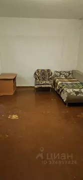 1-к кв. Томская область, Томск ул. Елизаровых, 21/2 (31.9 м)