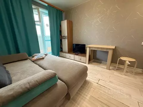 Студия Новосибирская область, Новосибирск ул. Виктора Уса, 9 (20.0 м)