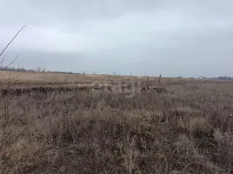 Участок в Курская область, Курский район, Щетинский сельсовет, Саблин ...