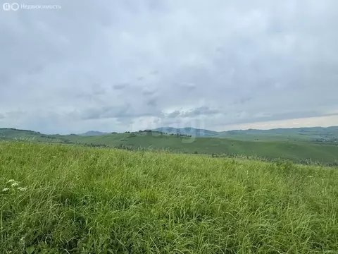 Участок в Алтайский район, ДНТ Жемчужина Алтая (11 м)