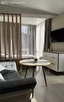 Квартира-студия: Сочи, Амбровая улица, 25 (22 м)