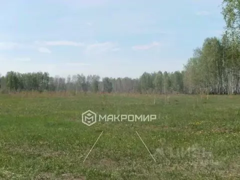 Участок в Челябинская область, Красноармейский муниципальный округ, ...