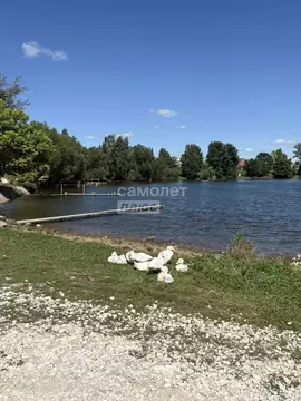 Участок в Марий Эл, Моркинский район, Коркатовское с/пос, д. Коркатово ...