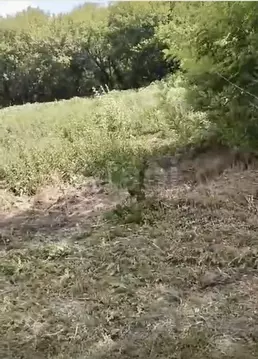 Участок в Ростовская область, Аксайский район, Большелогское с/пос, ...