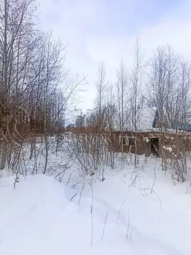 Участок в Ленинградская область, Выборгский район, Советское городское ...