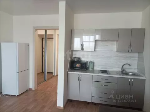 Студия Амурская область, Благовещенск Октябрьская ул., 221 (26.5 м)