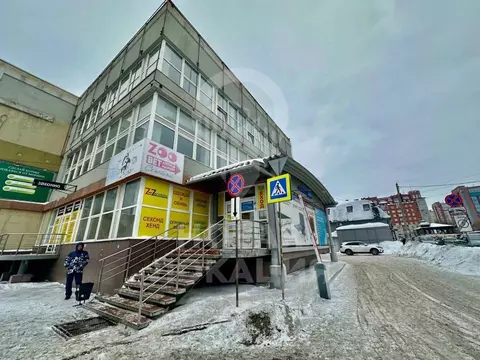 Помещение свободного назначения в Омская область, Омск ул. Пушкина, 59 ...