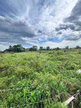 Участок в Приморский край, Уссурийский городской округ, с. Воздвиженка ...