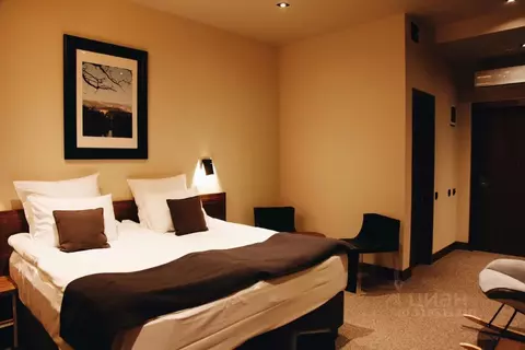 Комната Москва Бауманская ул., 58/3С5 (28.0 м)