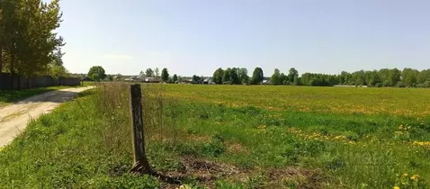 Участок в Владимирская область, Камешковский район, д. Брызгалово, ...