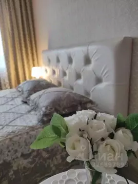 1-к кв. Московская область, Ногинск Богородский городской округ, ул. ...