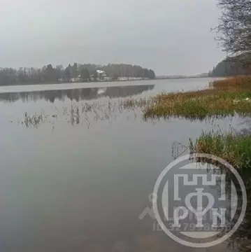 Участок в Ленинградская область, Лужский район, Скребловское с/пос, ...