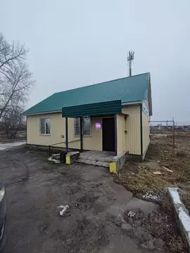 Помещение свободного назначения в Тамбовская область, Мучкапский рп ...