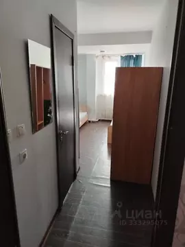 1-к кв. Иркутская область, Иркутск ул. Тимирязева, 26 (20.0 м)