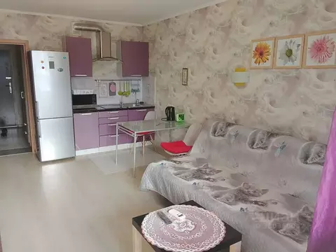 Студия Санкт-Петербург пос. Парголово, ул. Михаила Дудина, 10 (26.0 м)