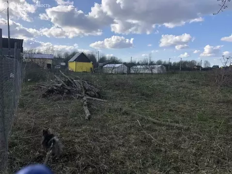 Участок в Волосовский район, Клопицкое сельское поселение, посёлок ...