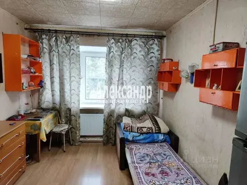 Комната Санкт-Петербург, Санкт-Петербург, Ломоносов ул. Победы, 3 ...