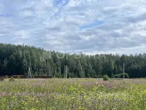 Участок в Тюменская область, Тюменский район, с. Кулига, Кулига-2 мкр  ...