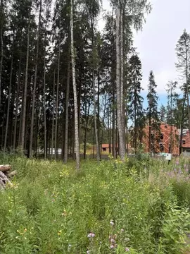 Участок в Московская область, Химки Новогорск Лес ТСН,  (17.5 сот.)