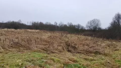 Участок в Московская область, Можайский муниципальный округ, д. ...