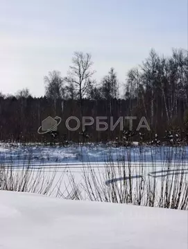 Участок в Свердловская область, Тугулымский муниципальный округ, д. ...