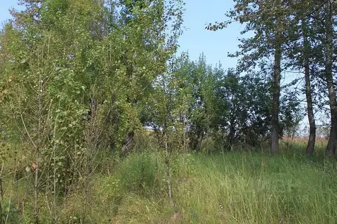 Участок в Тульская область, Заокский район, Демидовское муниципальное ...
